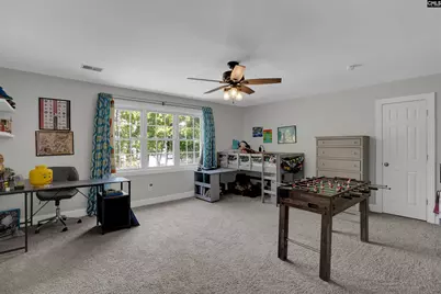 308 Night Harbor Drive, Chapin, SC 29036 - Photo 32