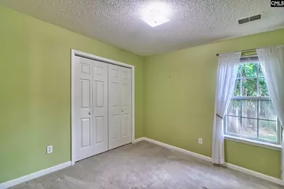 3 Careton Court, Chapin, SC 29036 - Photo 16