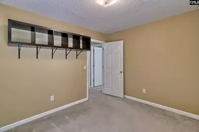 3 Careton Court, Chapin, SC 29036 - Photo 18