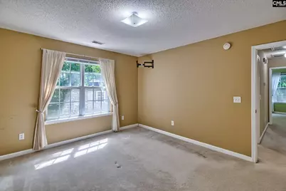 3 Careton Court, Chapin, SC 29036 - Photo 14