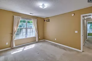 3 Careton Ct, Chapin, SC 29036 - Photo 14