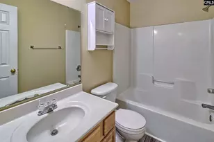 3 Careton Ct, Chapin, SC 29036 - Photo 20