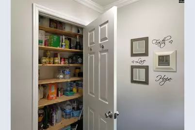 508 Livebark Lane, Lexington, SC 29073 - Photo 26