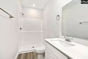 268 Boseman Rd, Irmo, SC 29063 - Photo 30