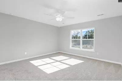 253 Boseman Road, Irmo, SC 29063 - Photo 30