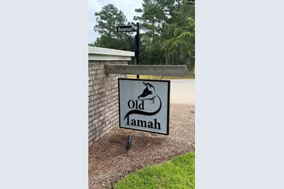 253 Boseman Road, Irmo, SC 29063 - Photo 36