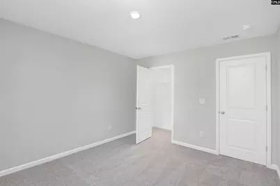 253 Boseman Road, Irmo, SC 29063 - Photo 28