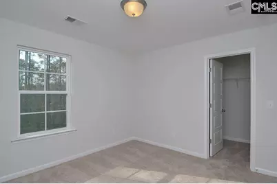 356 Hollow Cove Road, Chapin, SC 29036 - Photo 28