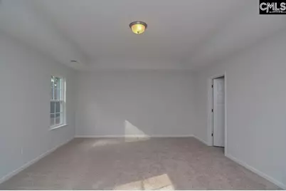 356 Hollow Cove Road, Chapin, SC 29036 - Photo 20