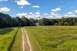 3934 Stoney Hill Rd, Newberry, SC 29108 - Photo 64