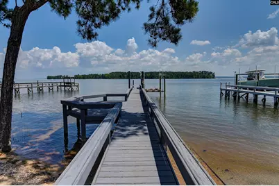1158 Libby Ariail Circle, Chapin, SC 29036 - Photo 4