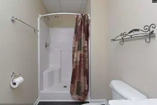1158 Libby Ariail Circle, Chapin, SC 29036 - Photo 32