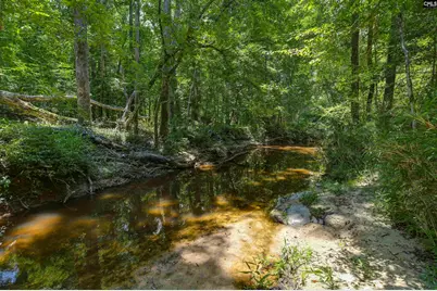 317 Horse Cove Road, Gilbert, SC 29054 - Photo 34