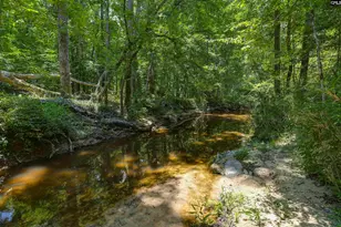 317 Horse Cove Rd, Gilbert, SC 29054 - Photo 34