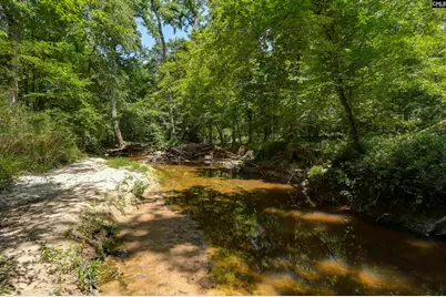 317 Horse Cove Road, Gilbert, SC 29054 - Photo 36