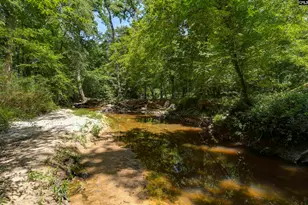 317 Horse Cove Rd, Gilbert, SC 29054 - Photo 36