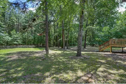 317 Horse Cove Road, Gilbert, SC 29054 - Photo 24