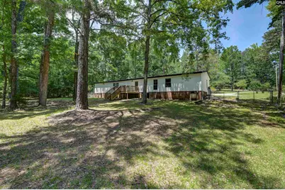 317 Horse Cove Road, Gilbert, SC 29054 - Photo 22