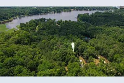 317 Horse Cove Road, Gilbert, SC 29054 - Photo 92