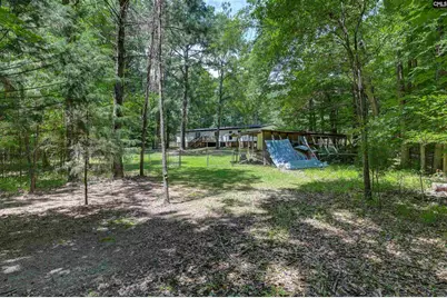317 Horse Cove Road, Gilbert, SC 29054 - Photo 28