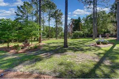 101 Brookwood Forest Drive, Blythewood, SC 29016 - Photo 84