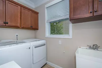 101 Woolbright Avenue, Chapin, SC 29036 - Photo 24