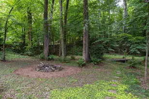 101 Woolbright Ave, Chapin, SC 29036 - Photo 54