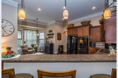 101 Woolbright Avenue, Chapin, SC 29036 - Photo 14