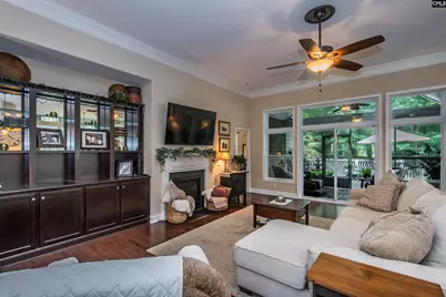 101 Woolbright Avenue, Chapin, SC 29036 - Photo 8
