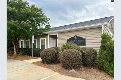 101 Woolbright Avenue, Chapin, SC 29036 - Photo 60