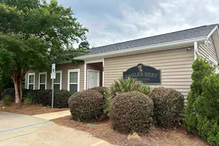 101 Woolbright Ave, Chapin, SC 29036 - Photo 60