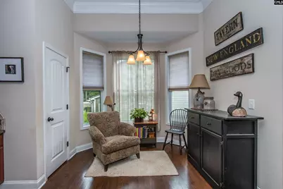 101 Woolbright Avenue, Chapin, SC 29036 - Photo 20