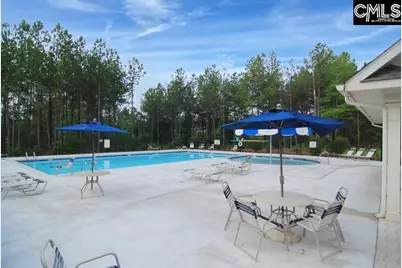 869 Sunseeker Drive, Chapin, SC 29036 - Photo 82
