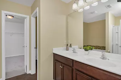 869 Sunseeker Drive, Chapin, SC 29036 - Photo 42