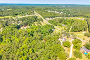 9928 Wilson Blvd, Blythewood, SC 29016 - Photo 28