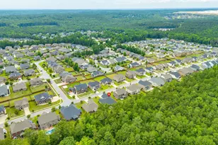 112 Wading Bird Loop, Blythewood, SC 29016 - Photo 46