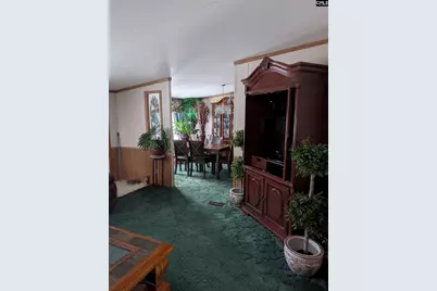 113 Hass Lucas Road, Gaston, SC 29053 - Photo 20