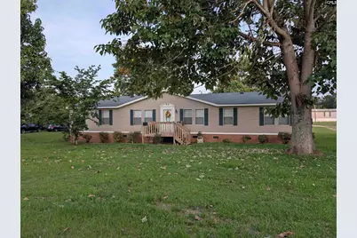 113 Hass Lucas Road, Gaston, SC 29053 - Photo 2