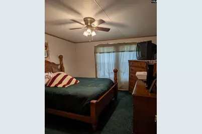 113 Hass Lucas Road, Gaston, SC 29053 - Photo 30