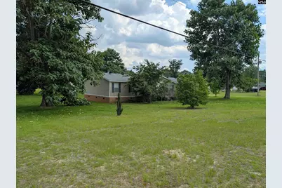 113 Hass Lucas Road, Gaston, SC 29053 - Photo 4