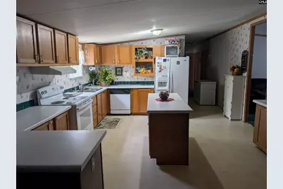 113 Hass Lucas Road, Gaston, SC 29053 - Photo 10
