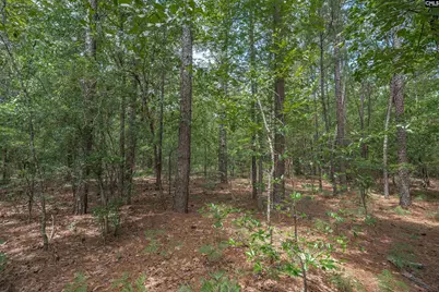 0 Woodtrail Drive, Gaston, SC 29053 - Photo 16