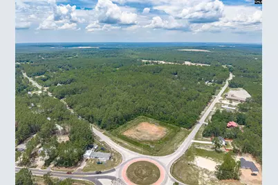 0 Woodtrail Drive, Gaston, SC 29053 - Photo 2