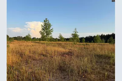 000 Livingston Road, Pomaria, SC 29126 - Photo 2
