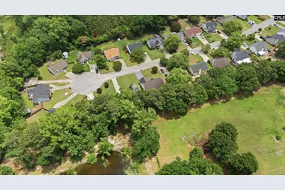 145 Pear Court, Lexington, SC 29073 - Photo 30