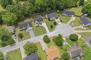 145 Pear Ct, Lexington, SC 29073 - Photo 26