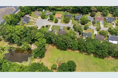145 Pear Court, Lexington, SC 29073 - Photo 32