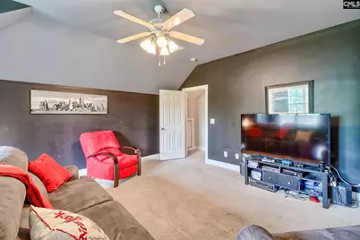 302 Lookout Hill Drive, Chapin, SC 29036 - Photo 28