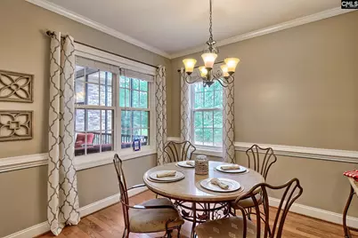 302 Lookout Hill Drive, Chapin, SC 29036 - Photo 10
