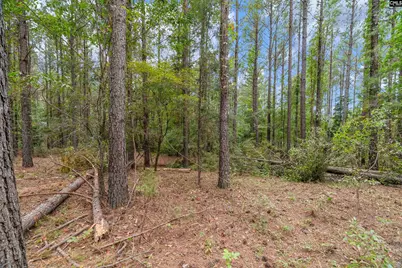 0000 Penner Rd 10 #10, Jenkinsville, SC 29065 - Photo 34